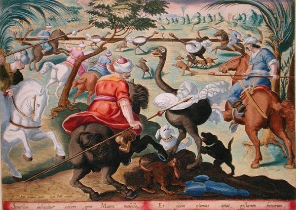 Atlı Devekuşu Avında Moors, Jan Collaert (1566-1628) tarafından oyulmuş 
