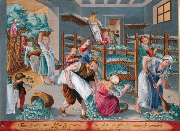 İpekböcekleri için Rafları Dut Yapraklarıyla Astarlayan Kadın, Philip Galle (1537-1612) tarafından oyulmuş 