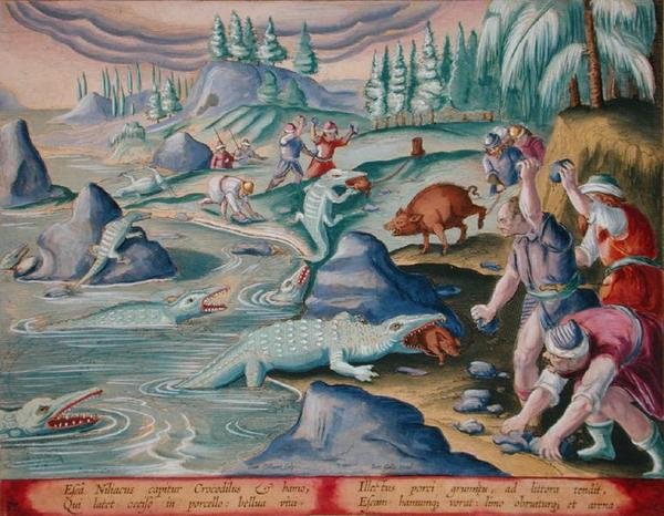 Zincirli Domuzları Yem Olarak Kullanarak Nil Kıyısında Timsahları Yakalamak, Jan Collaert (1566-1628) tarafından oyulmuş 'Venationes Ferarum, Avium, Piscium'dan (Avlanma: Yabani Canavarlar, Kuşlar, Balık) levha 87, Phillipus Gallaeus tarafından yay by Jan van der (1523 1605) (after) Straet