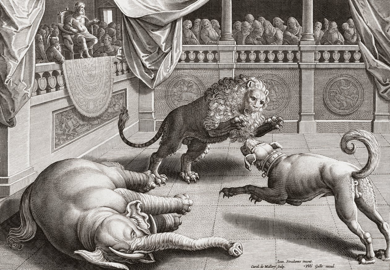 Büyük İskender hayvanların kavgasını izliyor, 16. yüzyıl by Jan van der 1523 1605 after Straet