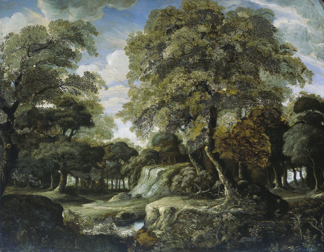 Ormanda Görüntüle by Jan van der Heyden