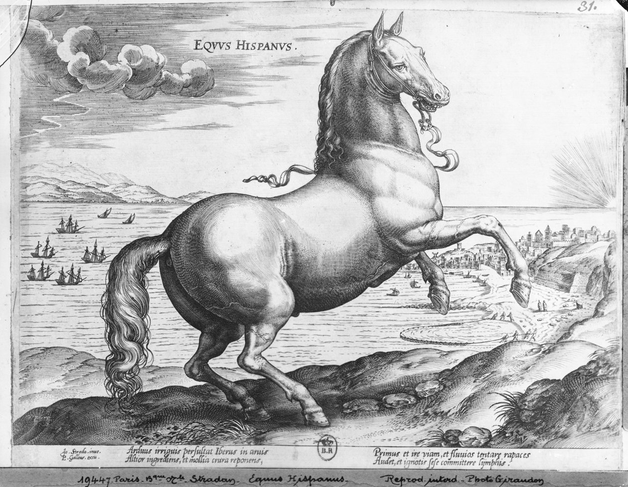 at İspanya by Jan van der Straet