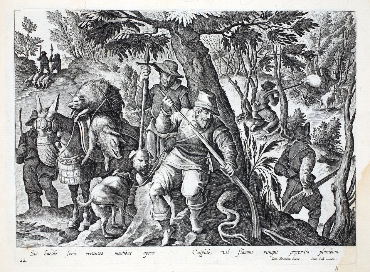 Avcılar, dağ domuzunu avlamak için kurşun yüklü mızraklar veya silahlar kullanırlar, Jan Collaert (1566-1628) tarafından oyulmuş 