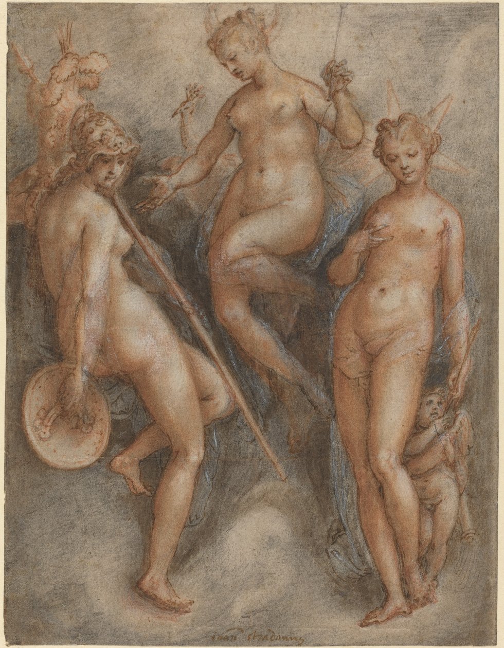 Üç Tanrıça: Minerva, Juno ve Venüs by Jan van der Straet