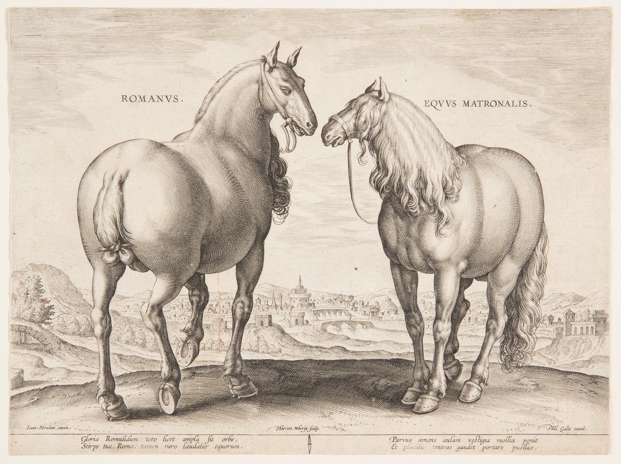 "Equile Joannis Austriaci"nin ilk setinden bir Roma Atı by Jan van der Straet, called Stradanus