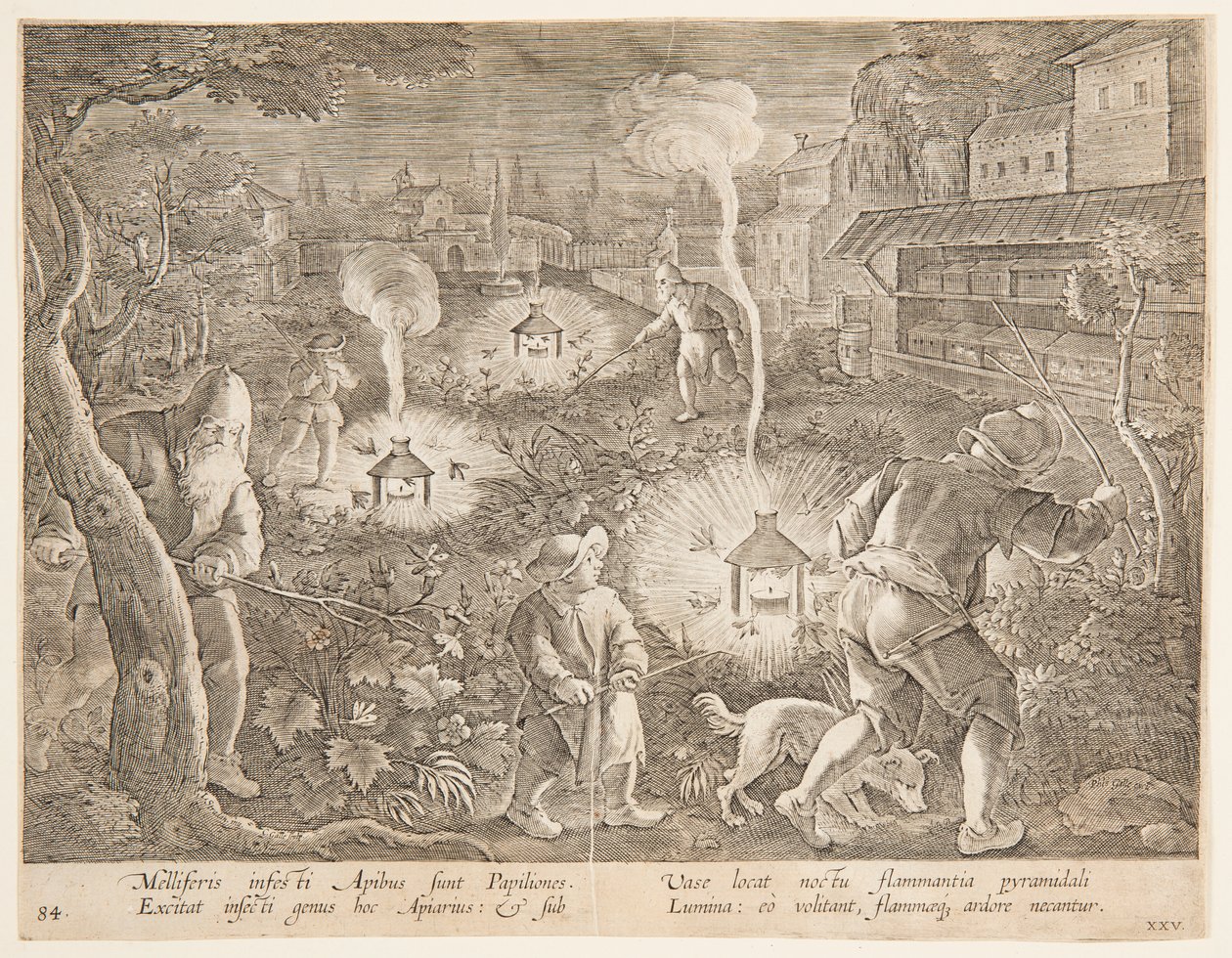 Gece Güvelerini Yakalamak, Wildcats, Birds, Fish serisinden 25 numaralı plaka by Jan van der Straet, called Stradanus