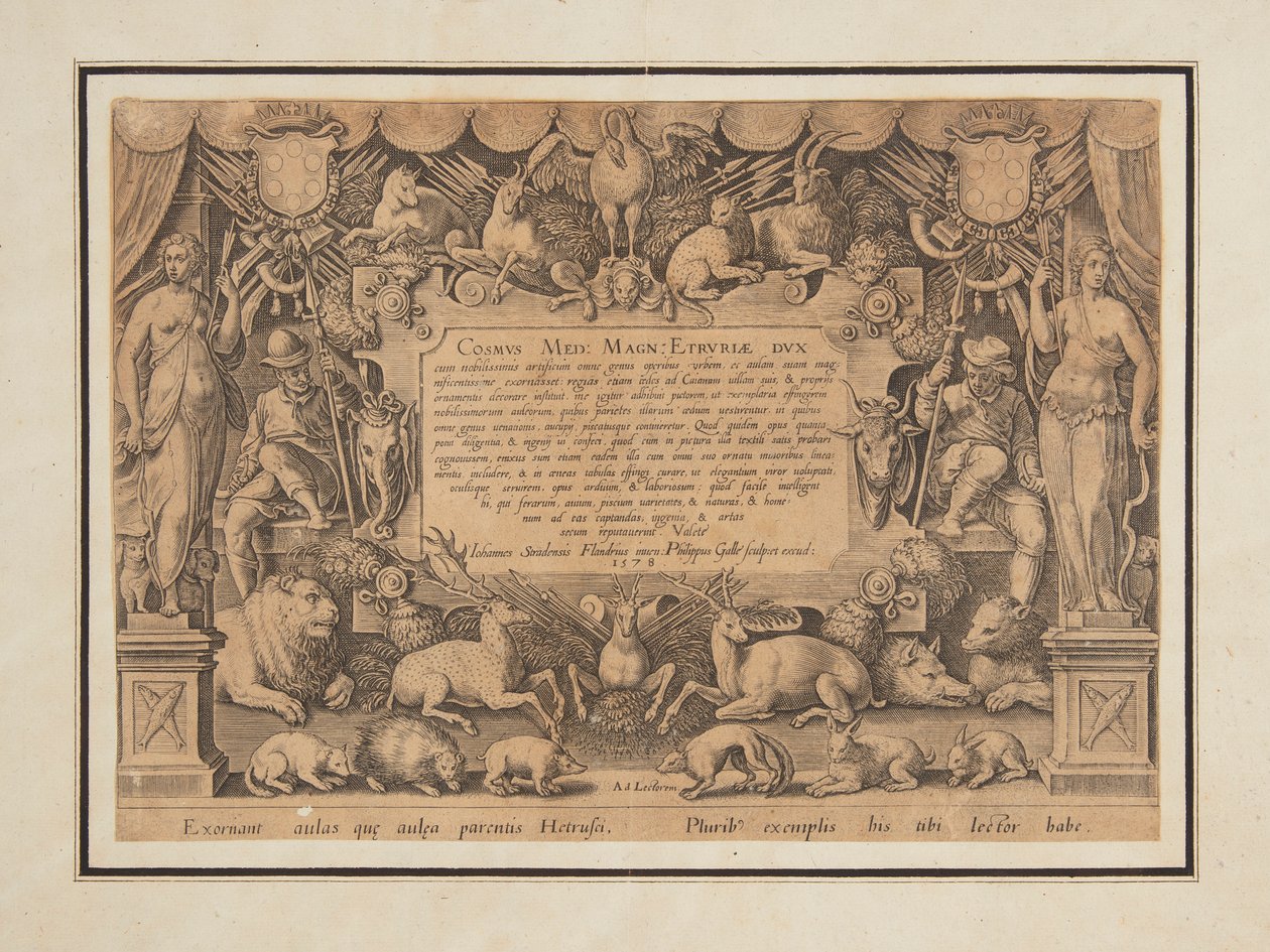 "Tıp ailesinin başarısı ve zaferi" setinin özel sayfası by Jan van der Straet, called Stradanus