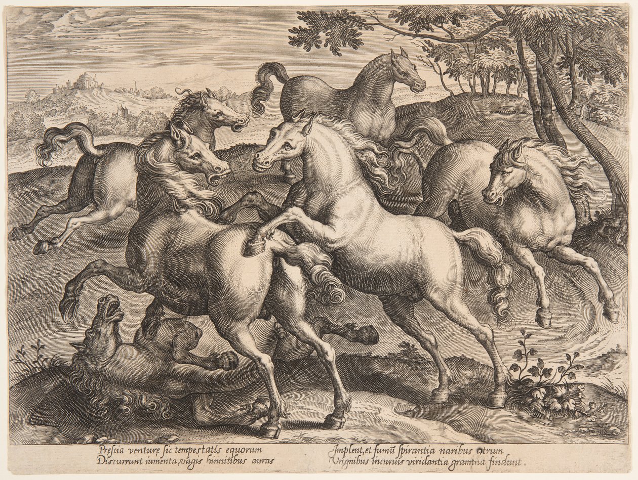 Dövüş Atları, "Equile Joannis Austriaci"nin dördüncü setinden by Jan van der Straet, called Stradanus