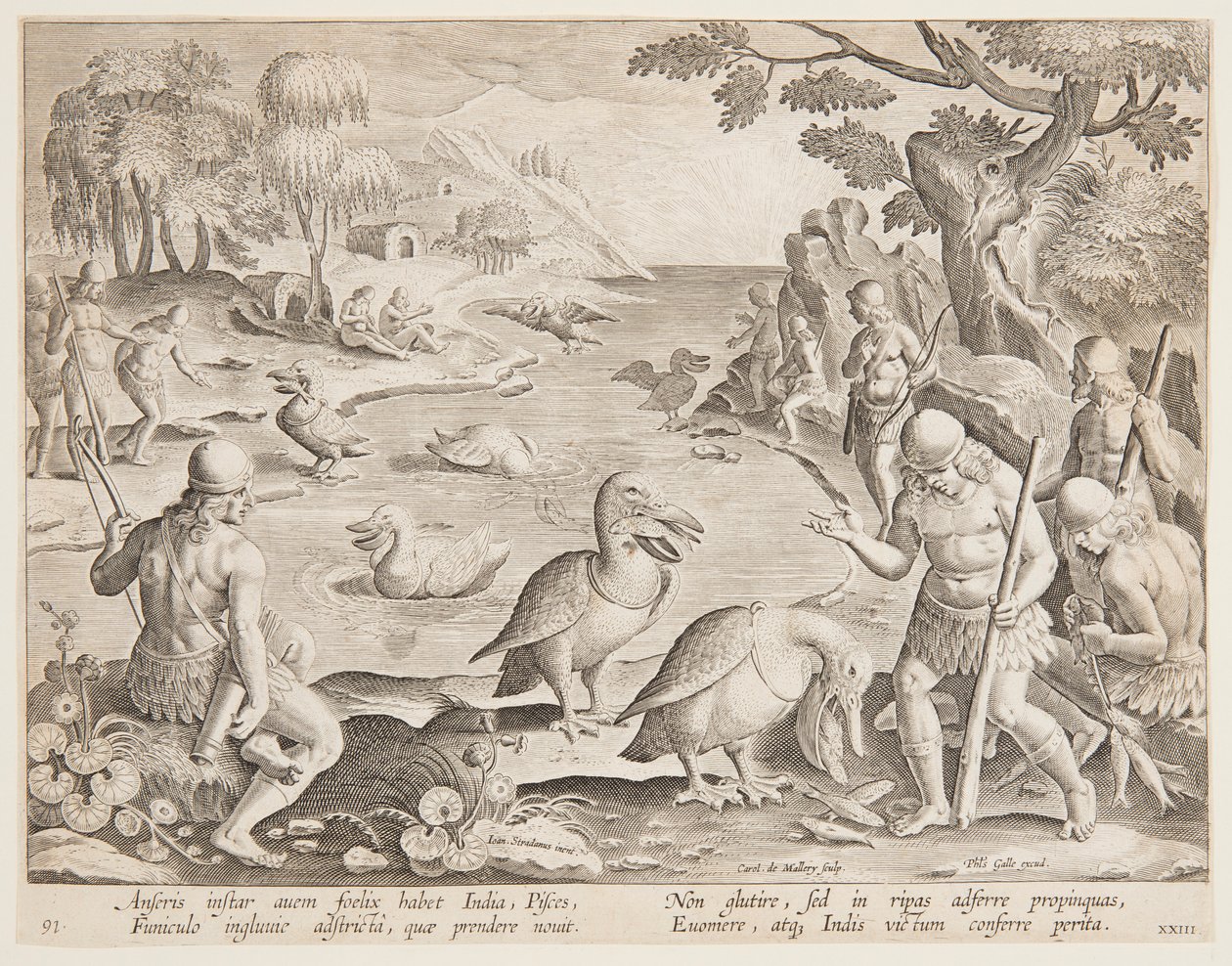 Pelikan Yardımıyla Balık Yakalayan Kızılderililer, Wildcats, Birds ve Fish serisinde 23 numaralı plaka by Jan van der Straet, called Stradanus