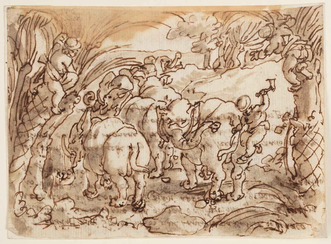 Recto: Troglodytes [Mağara Adamları] Tarafından Avlanan Filler; Verso: Yaşlı Pliny