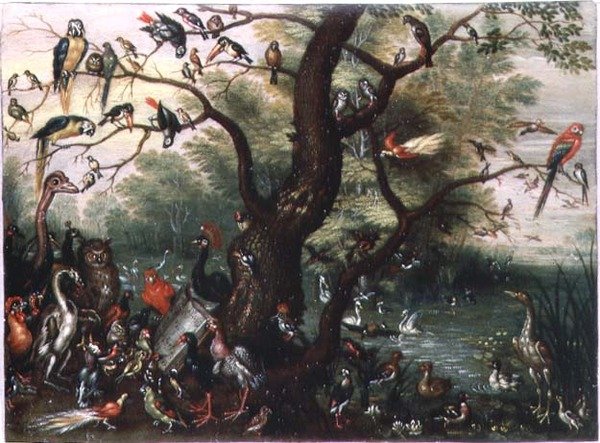 Kuş Konseri (bakır üzerine yağlı boya) by Jan van the Elder Kessel