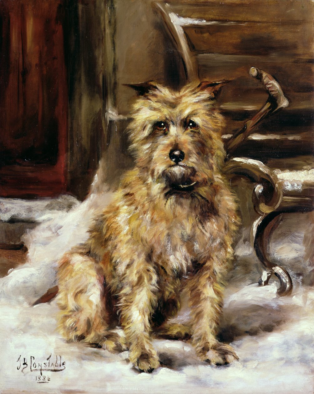 Usta bekleniyor by Jane Bennett Constable
