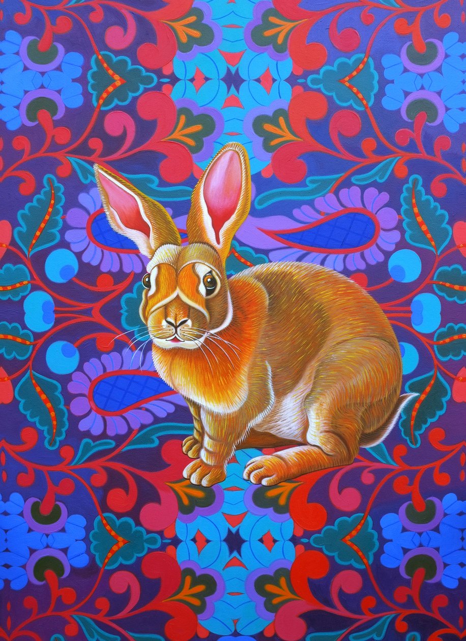 tavşan, 2014, by Jane Tattersfield