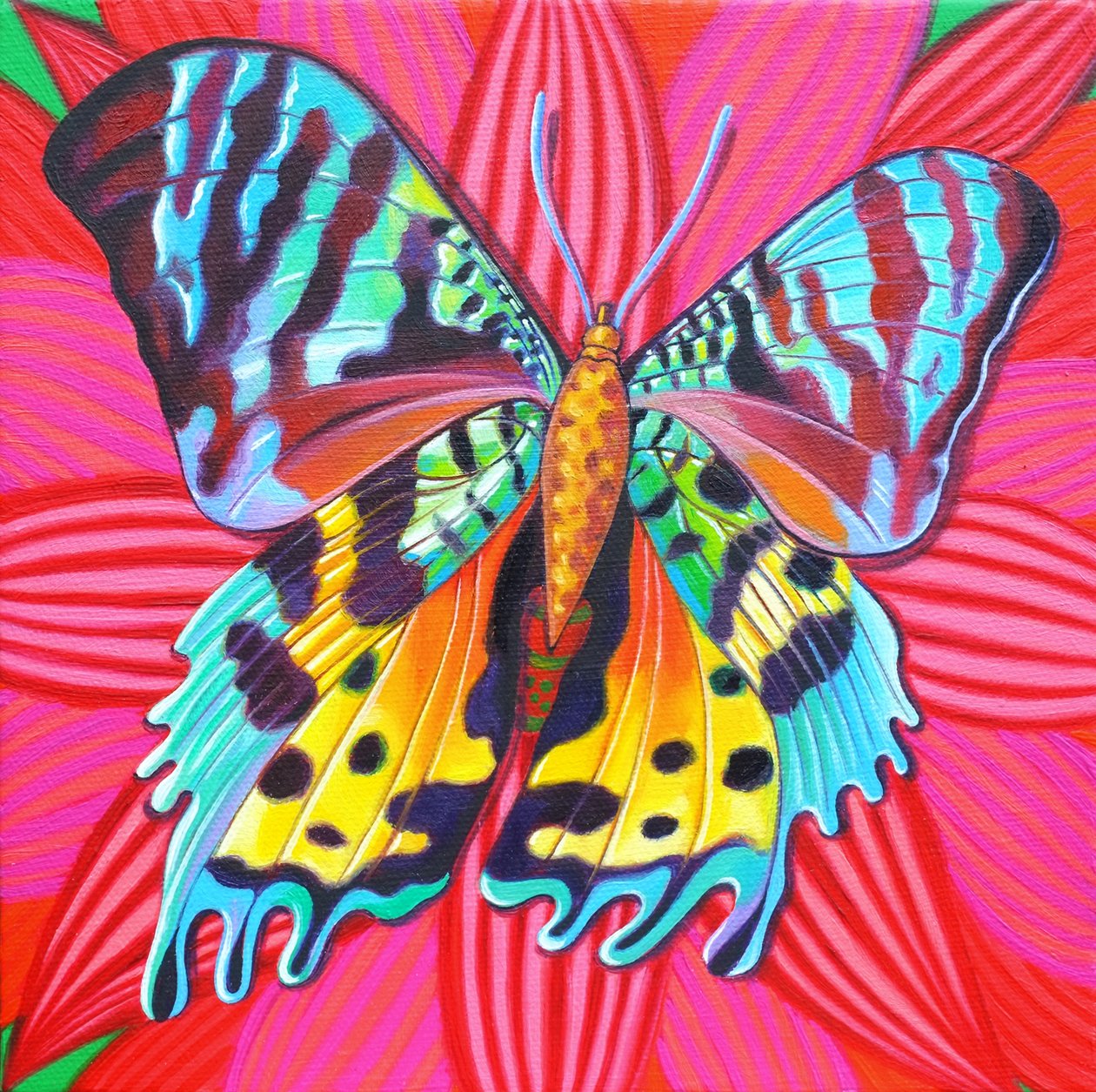 Günbatımı Güvesi, 2014, by Jane Tattersfield