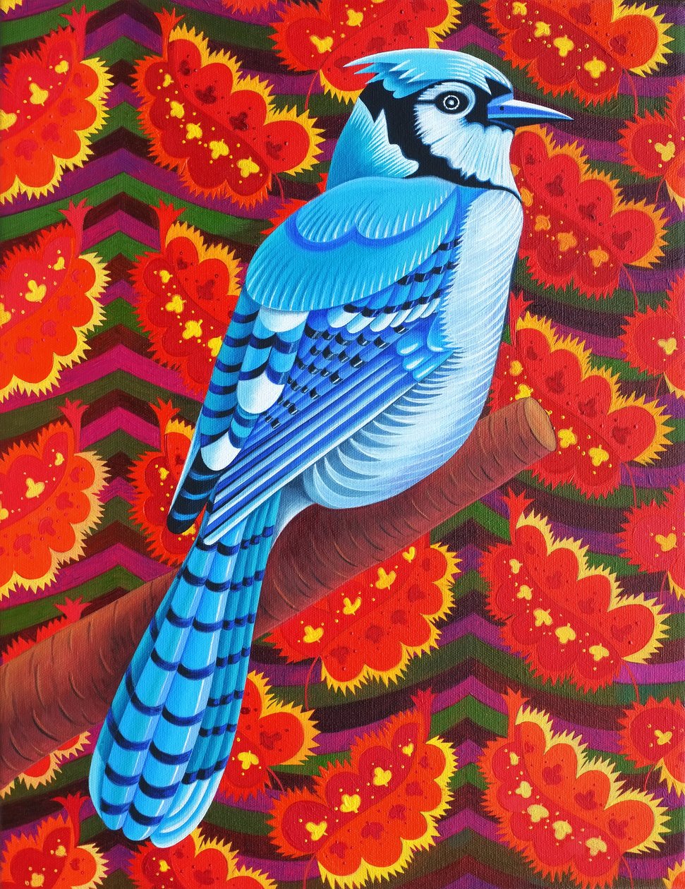 Mavi Jay, 2016, by Jane Tattersfield
