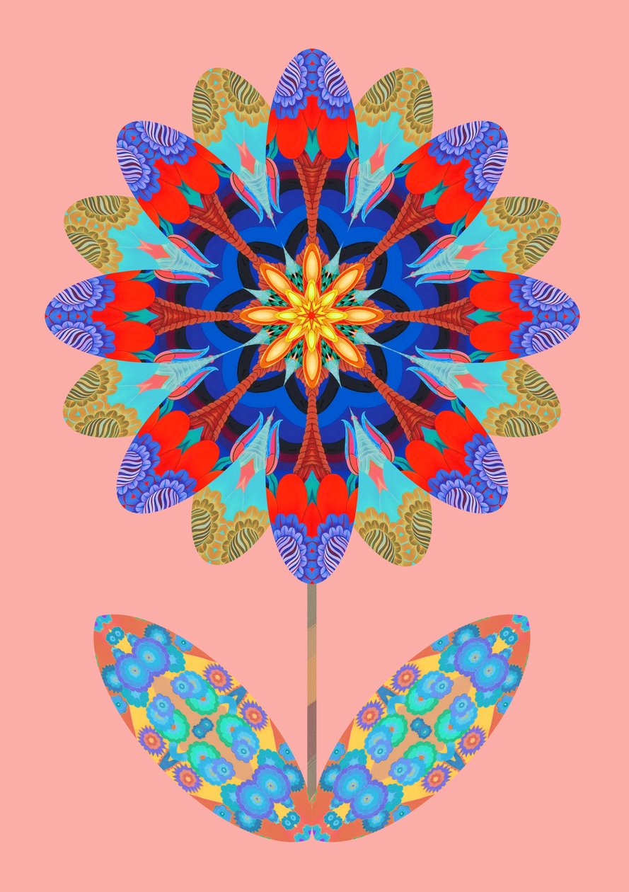 Soluk pembe üzerine çiçek kesimi, 2020 by Jane Tattersfield