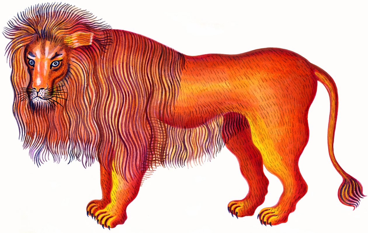 Aslan Aslan, 1996, (mürekkep ve guaj) by Jane Tattersfield