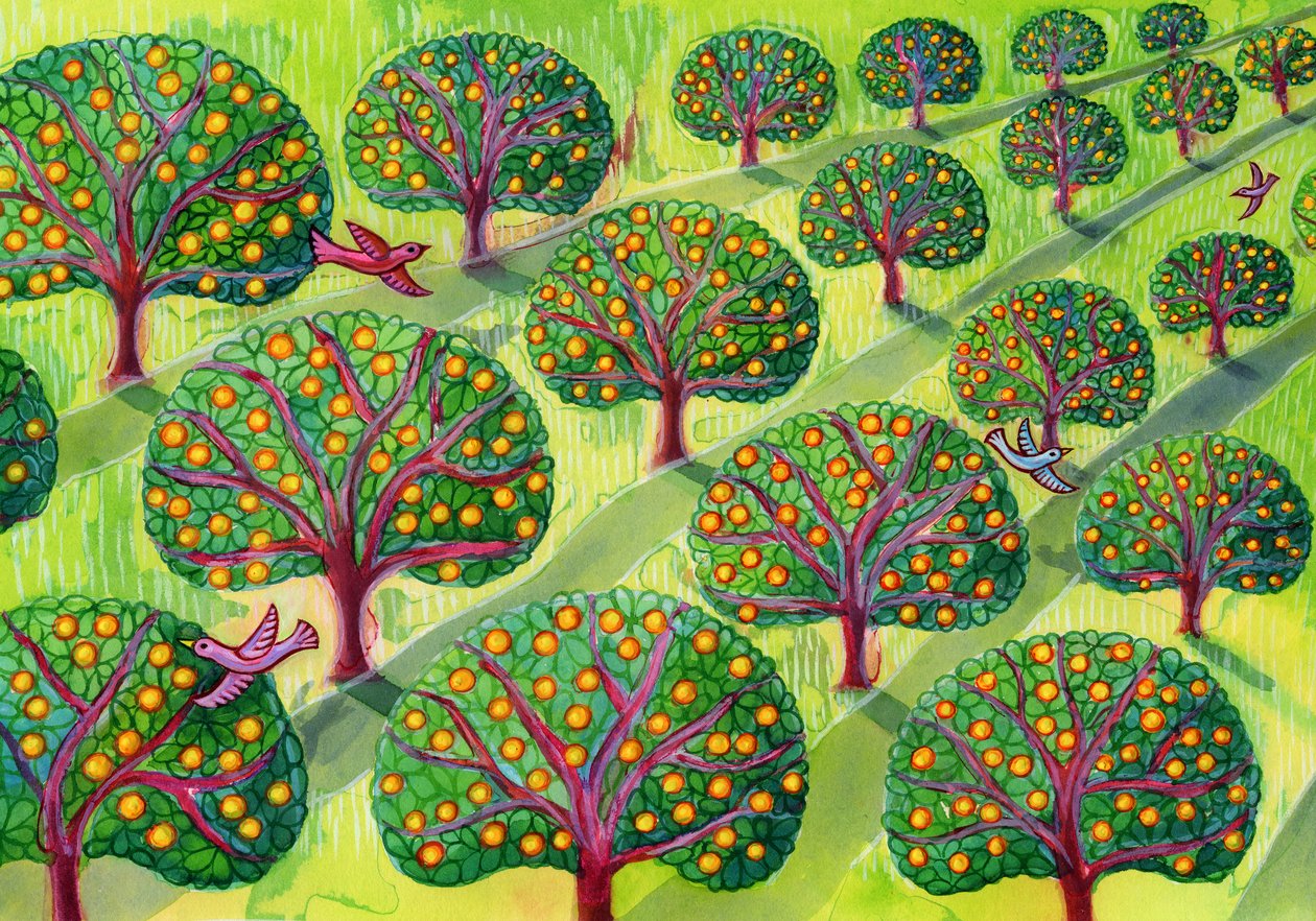 meyve bahçesi by Jane Tattersfield