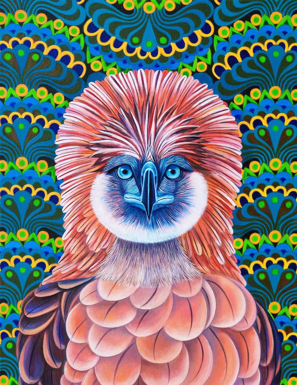 Filipin Kartalı, 2020 by Jane Tattersfield