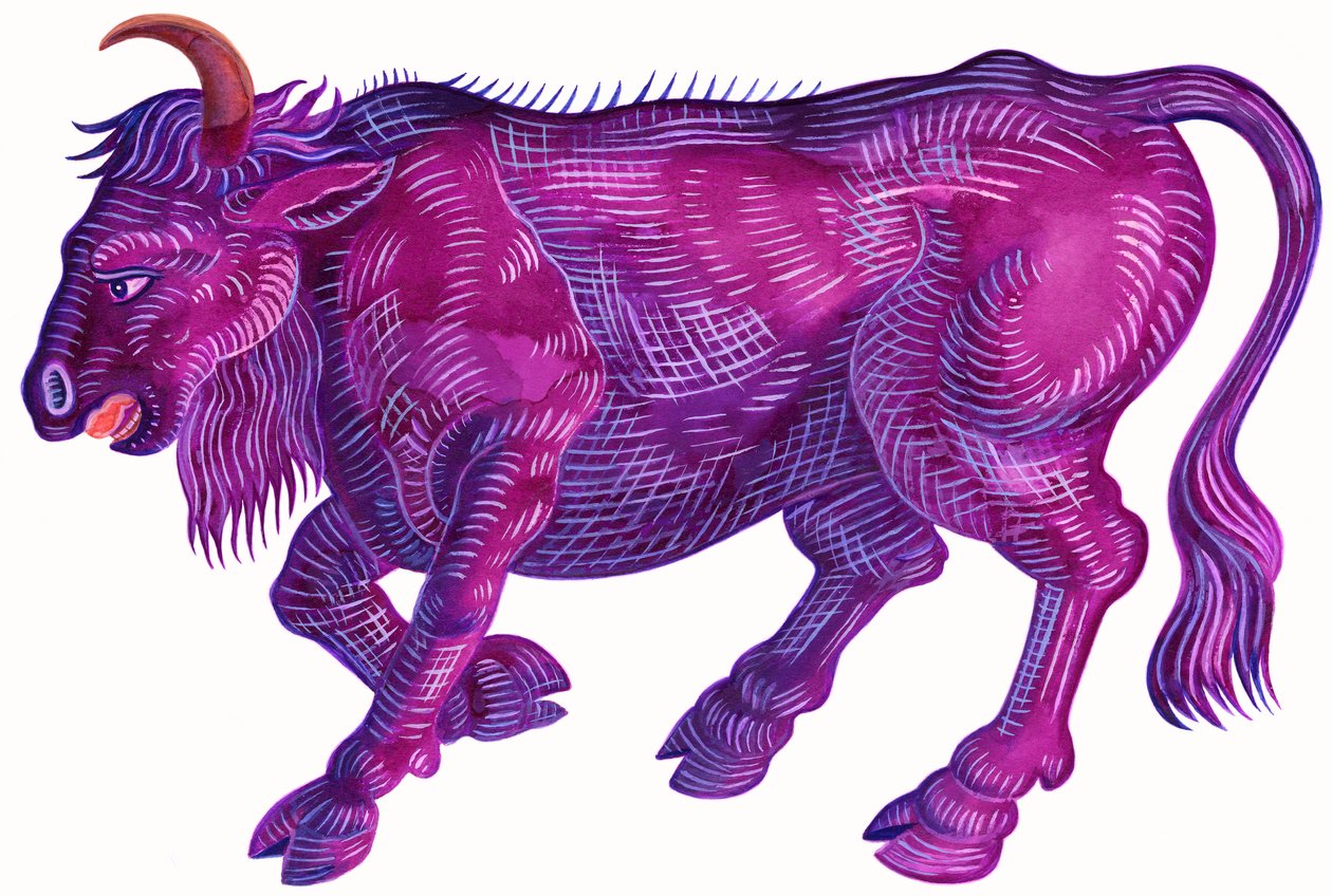 Raging Bull Boğa, 1996, (mürekkep ve guaj) by Jane Tattersfield