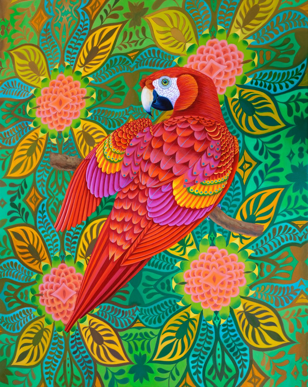 Kırmızı papağan, 2021 by Jane Tattersfield