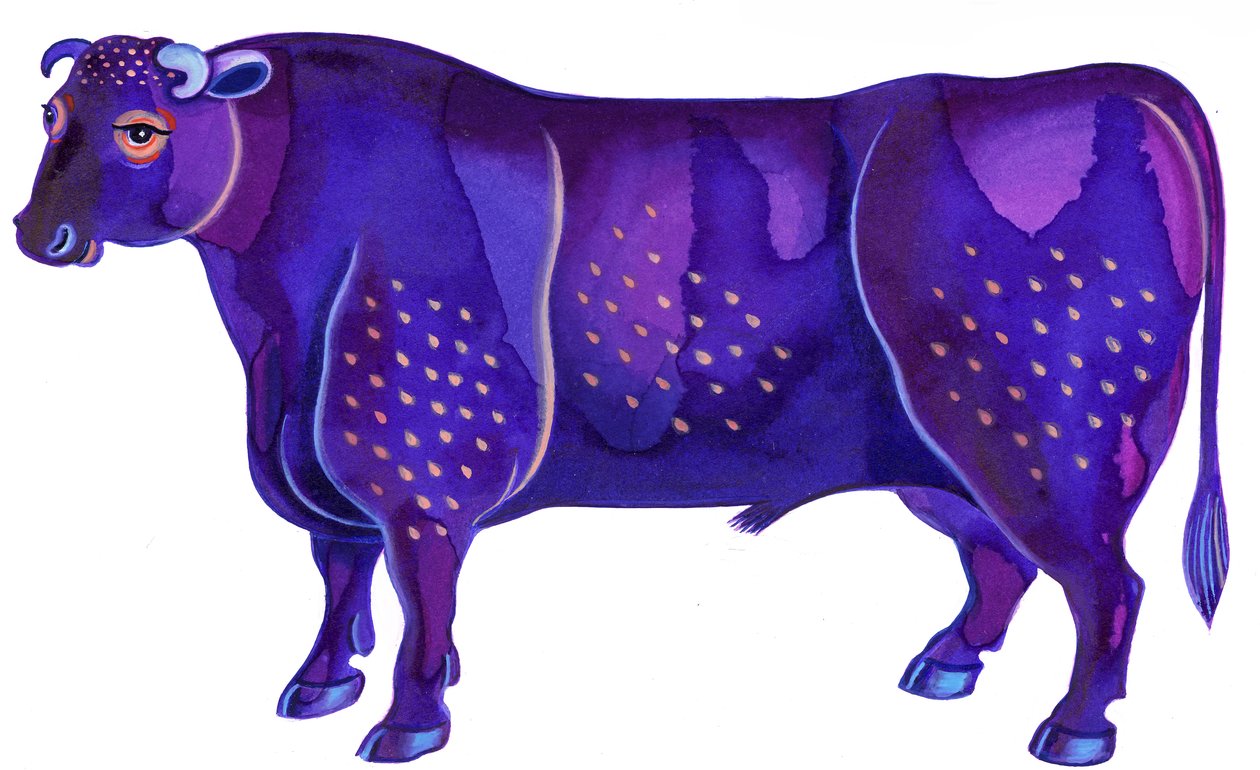 Boğa Boğa, 1996, (Mürekkep ve guaj) by Jane Tattersfield