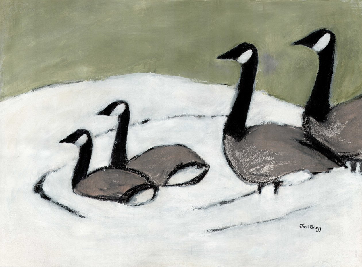  by Janel Bragg