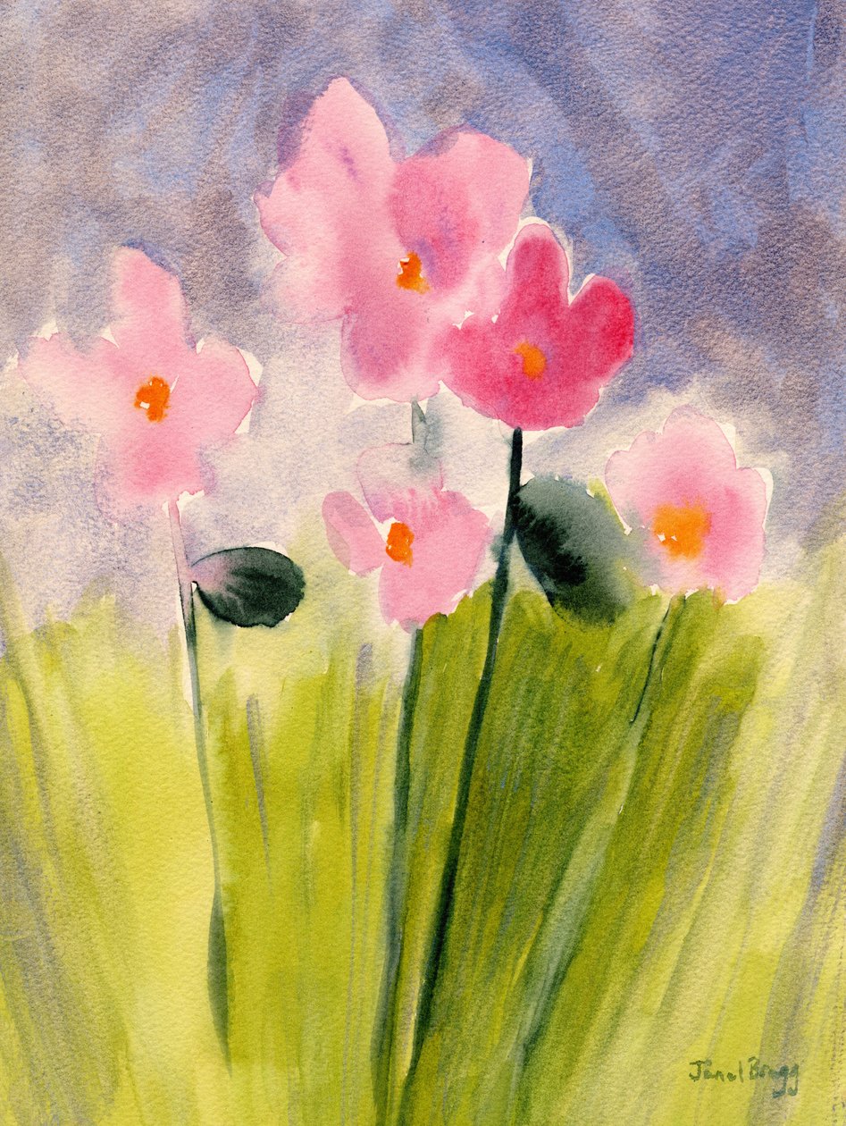  by Janel Bragg