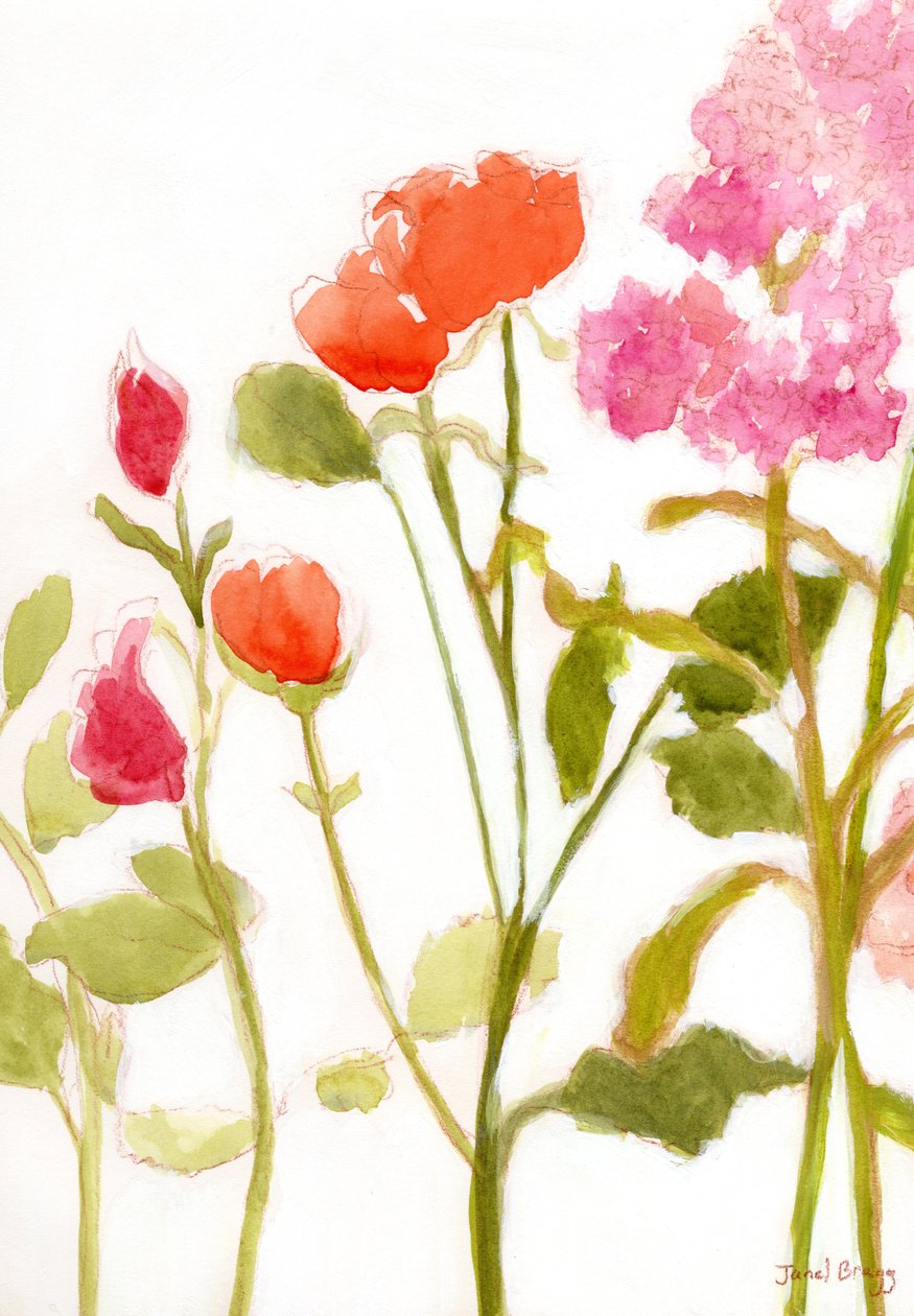  by Janel Bragg