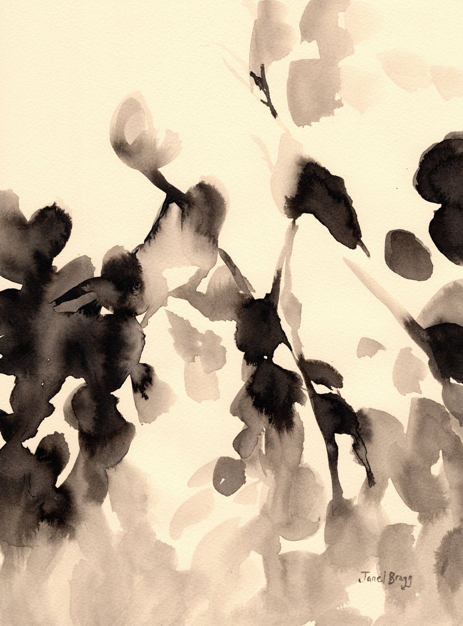  by Janel Bragg