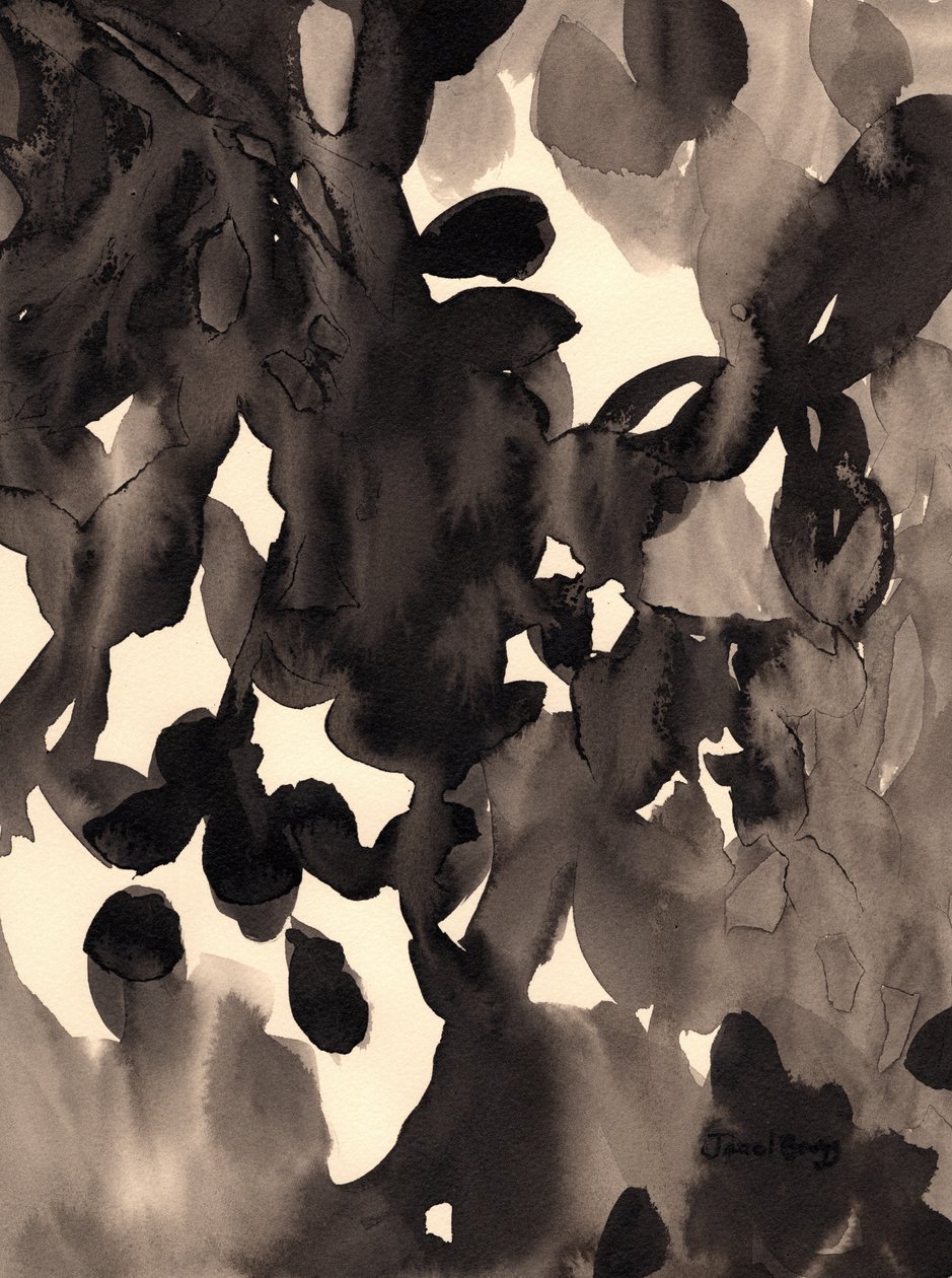  by Janel Bragg