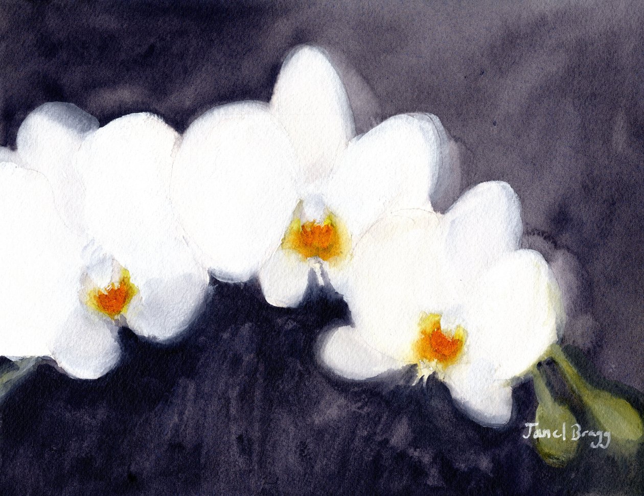  by Janel Bragg