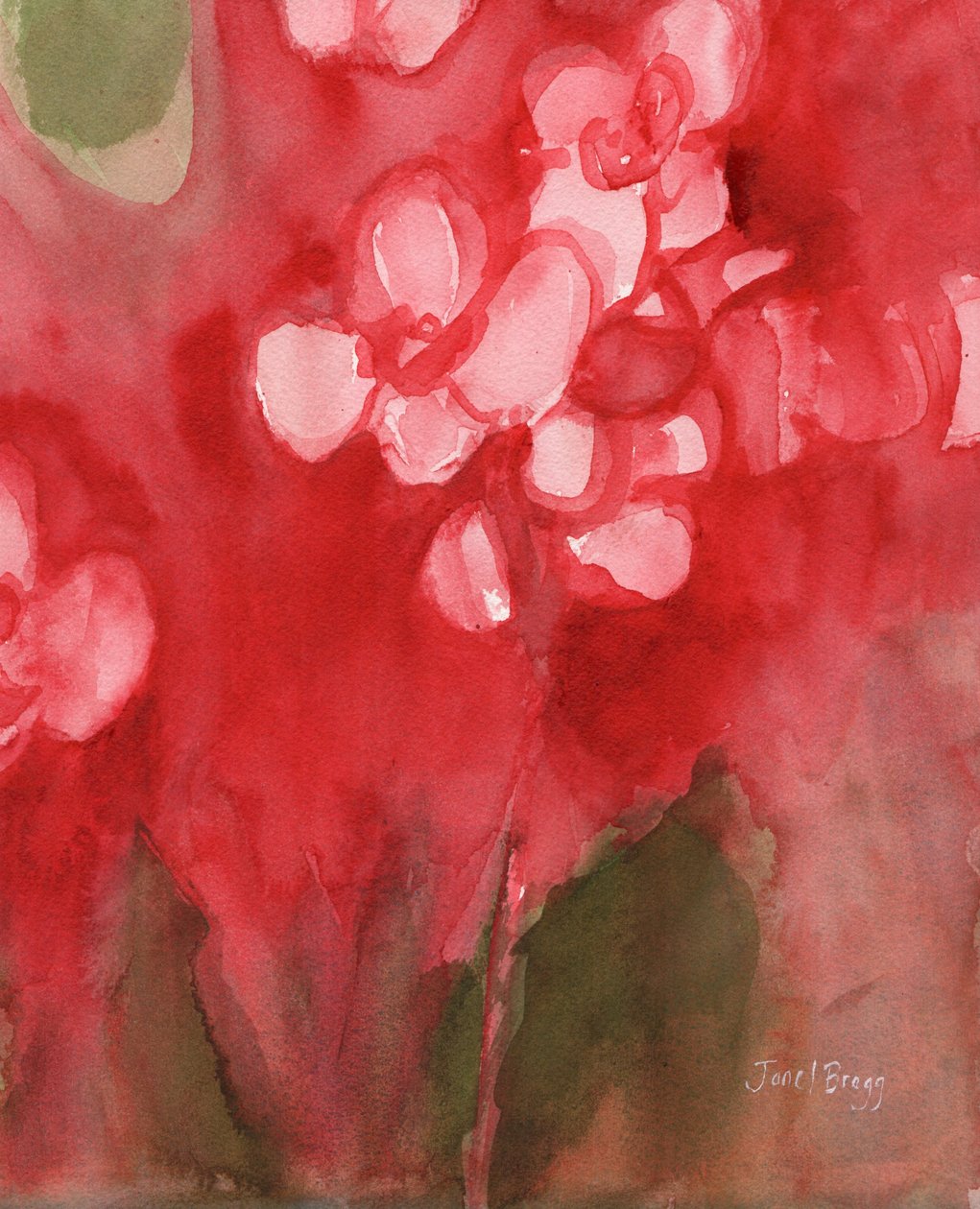  by Janel Bragg