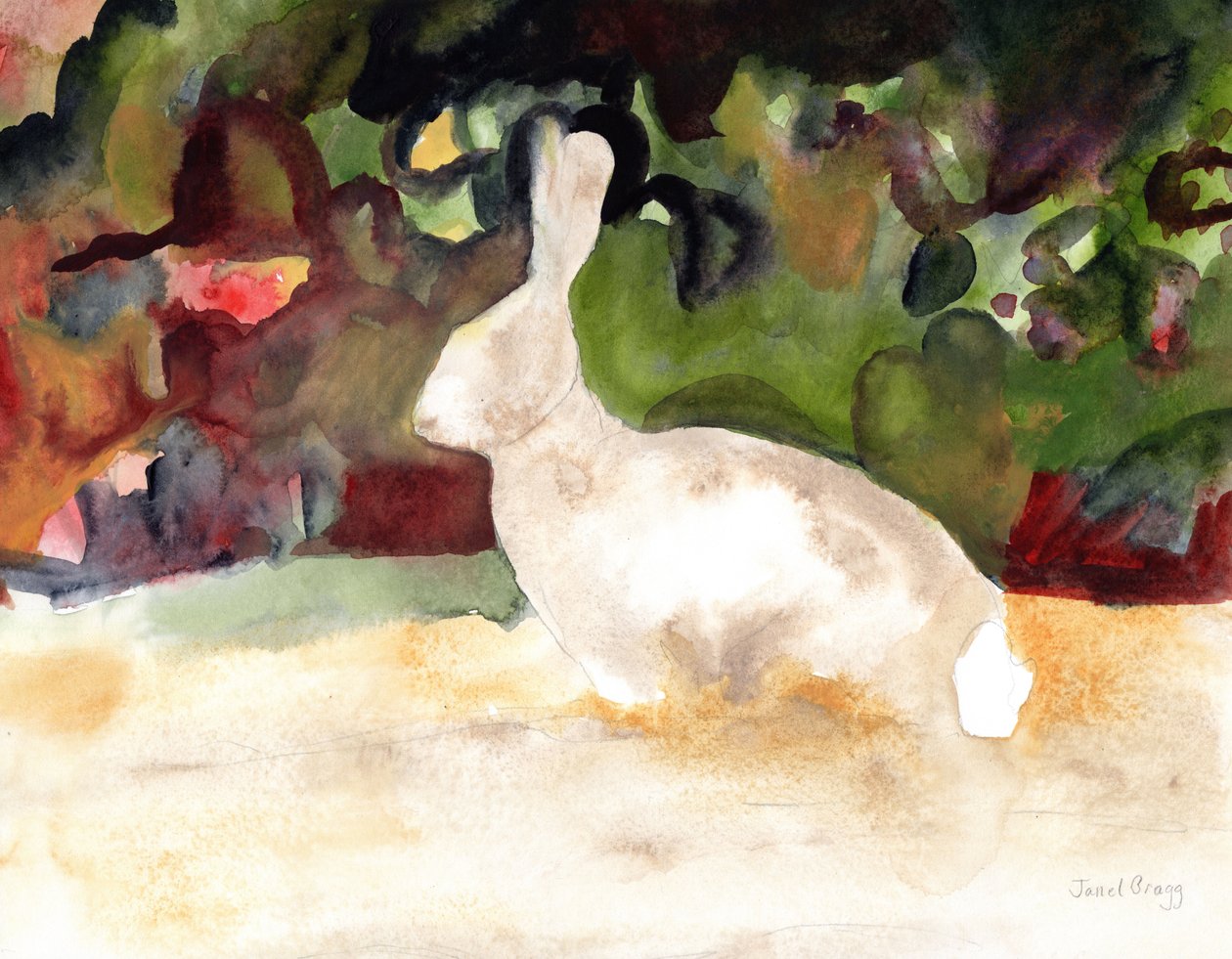  by Janel Bragg