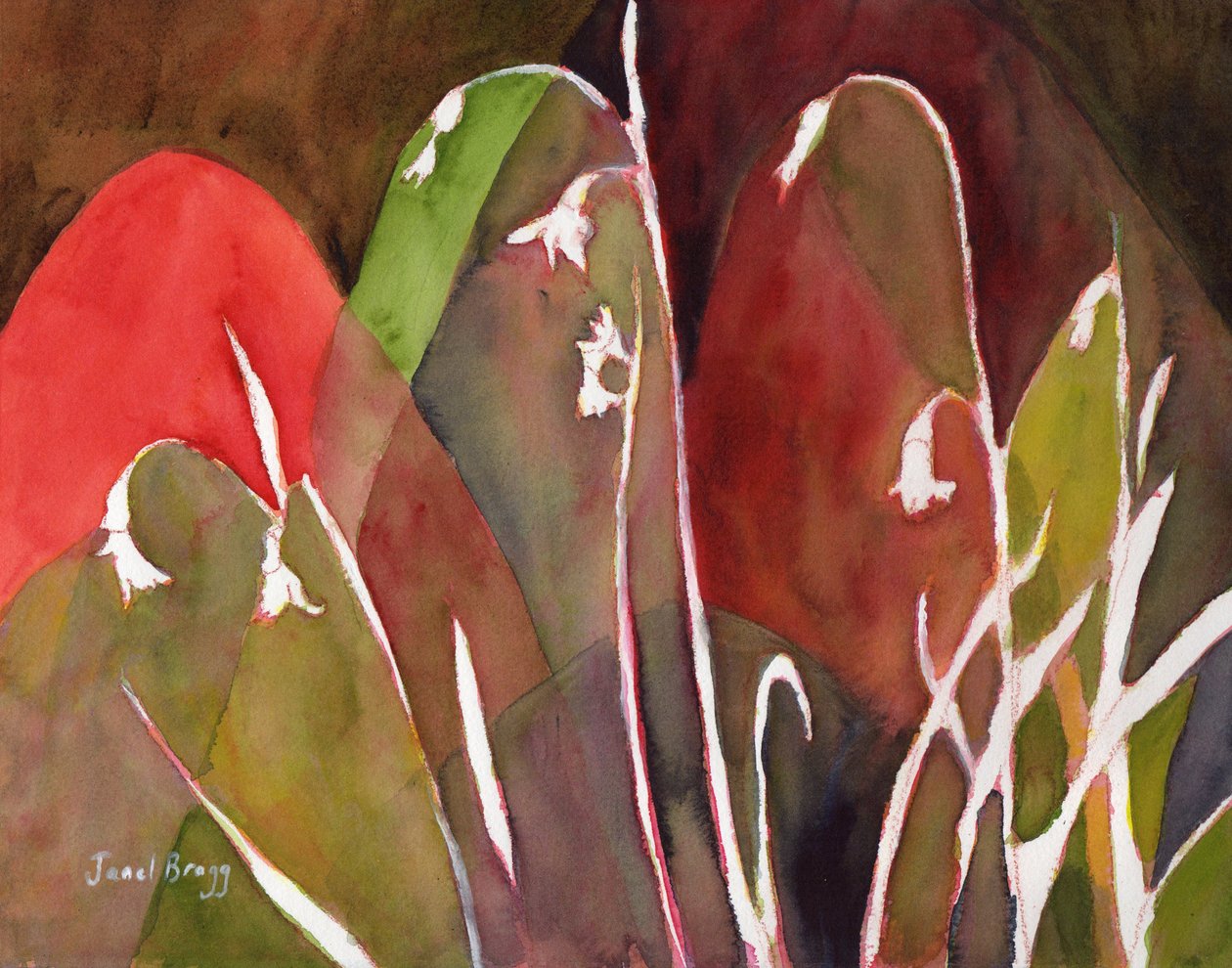  by Janel Bragg
