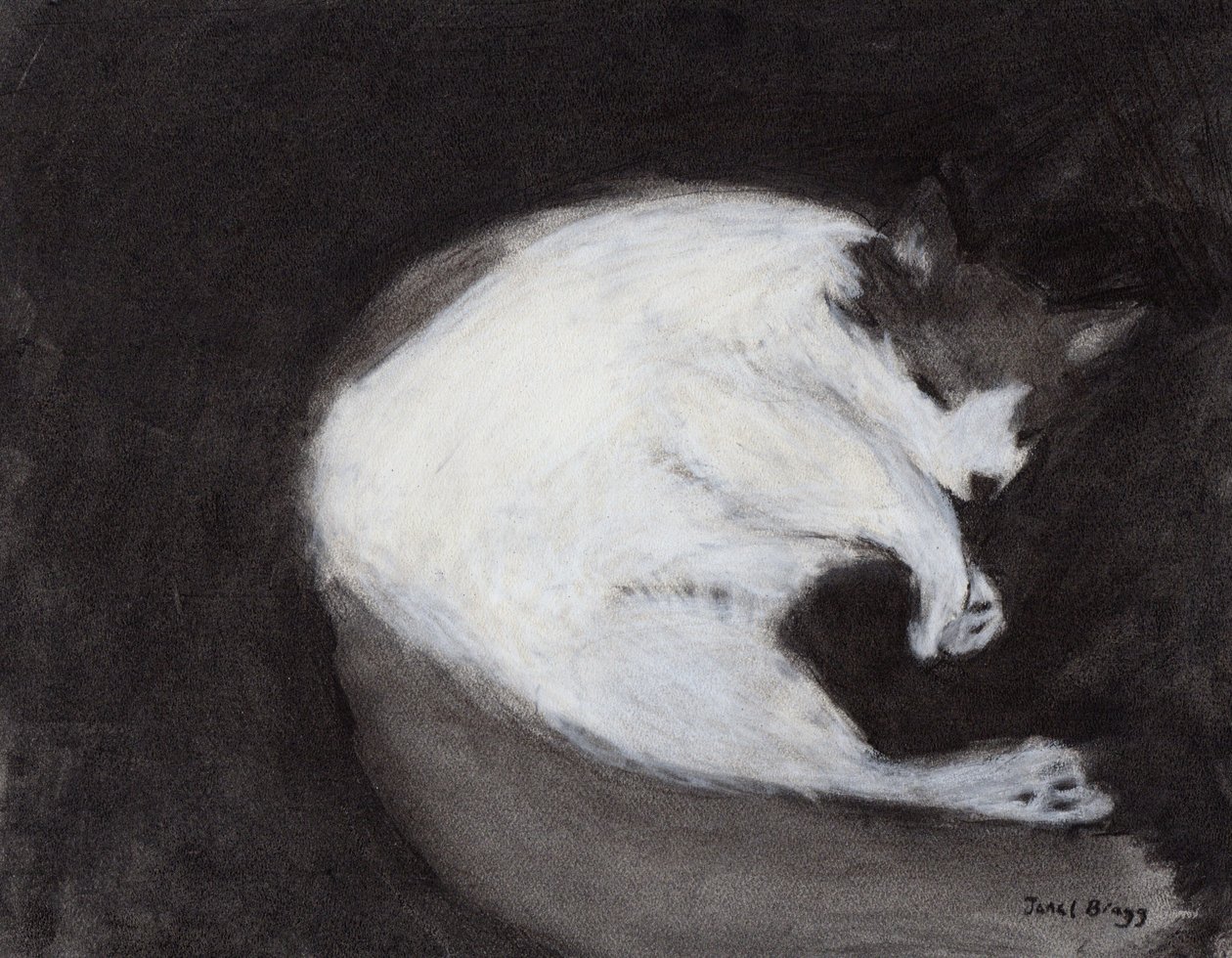  by Janel Bragg
