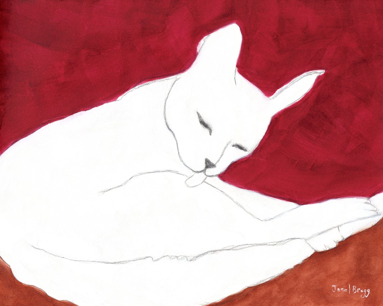  by Janel Bragg