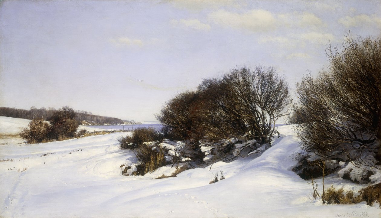 Denize Yakın Kış, 1888 by Janus La Cour