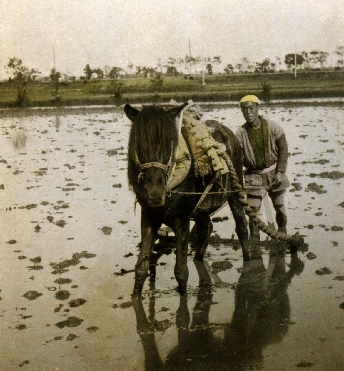 Çeltik Tarlasını Sürmek, c.1900 (albüm fotoğrafı) by Japanese Photographer