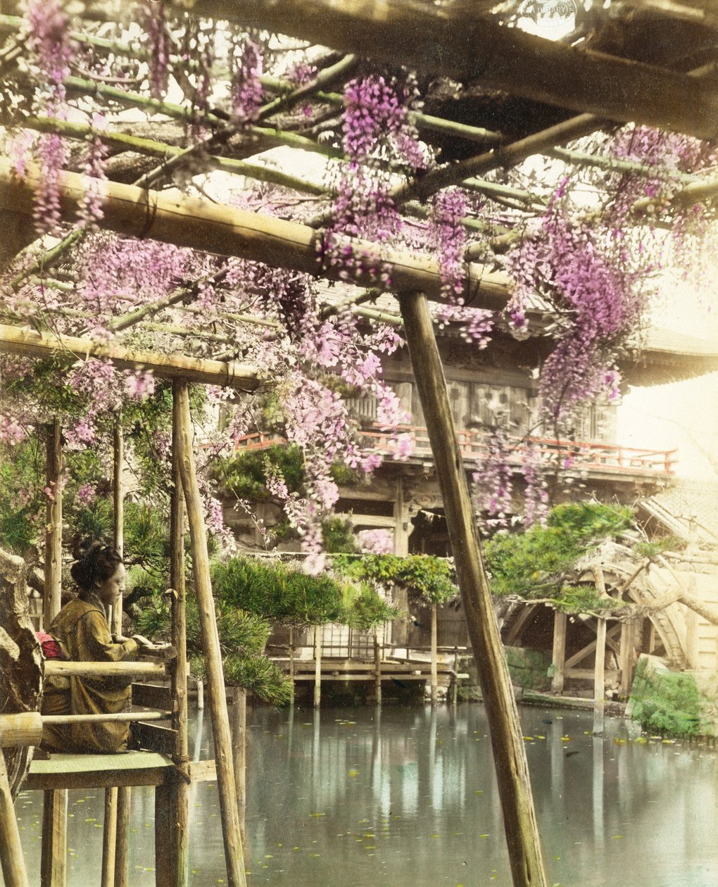 Wisteria çiçeği, Kameido Temple Gardens, Tokyo, 1890
