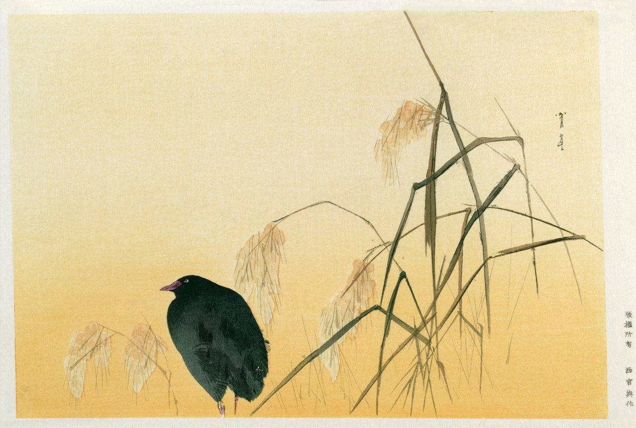 Blackbird, Edo Dönemi (ipek kaydırma) by Japanese School