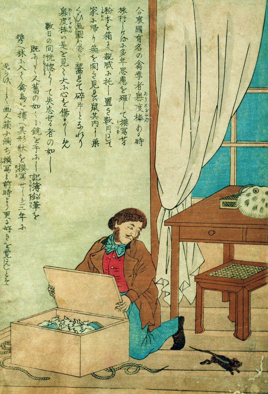 JJ Audubon (1785-1851) on a trip to Japan disovers a rat, c.1840  by Japanese School
