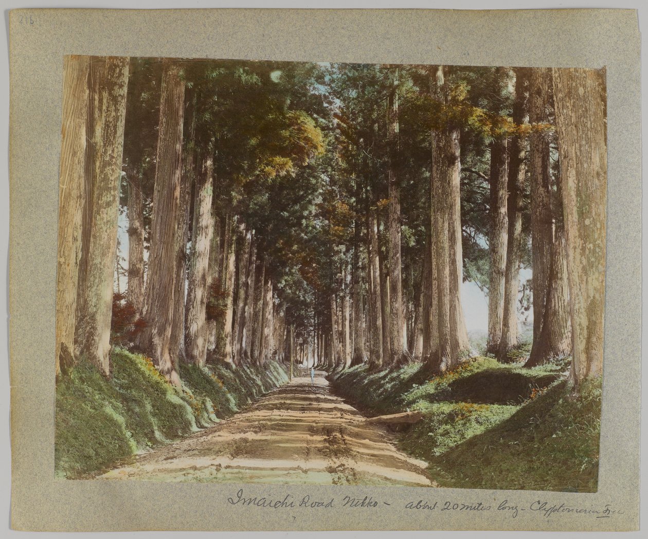 İyi değil Roa d, Nikko, Japonya (El-koure d s / w p sıcak) by Japanese Photographer