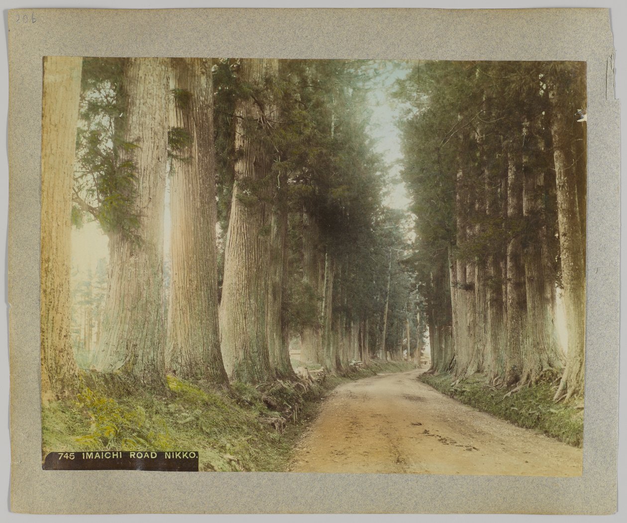 İyi değil Roa d, Nikko, Japonya (El-koure d s / w p sıcak) by Japanese Photographer