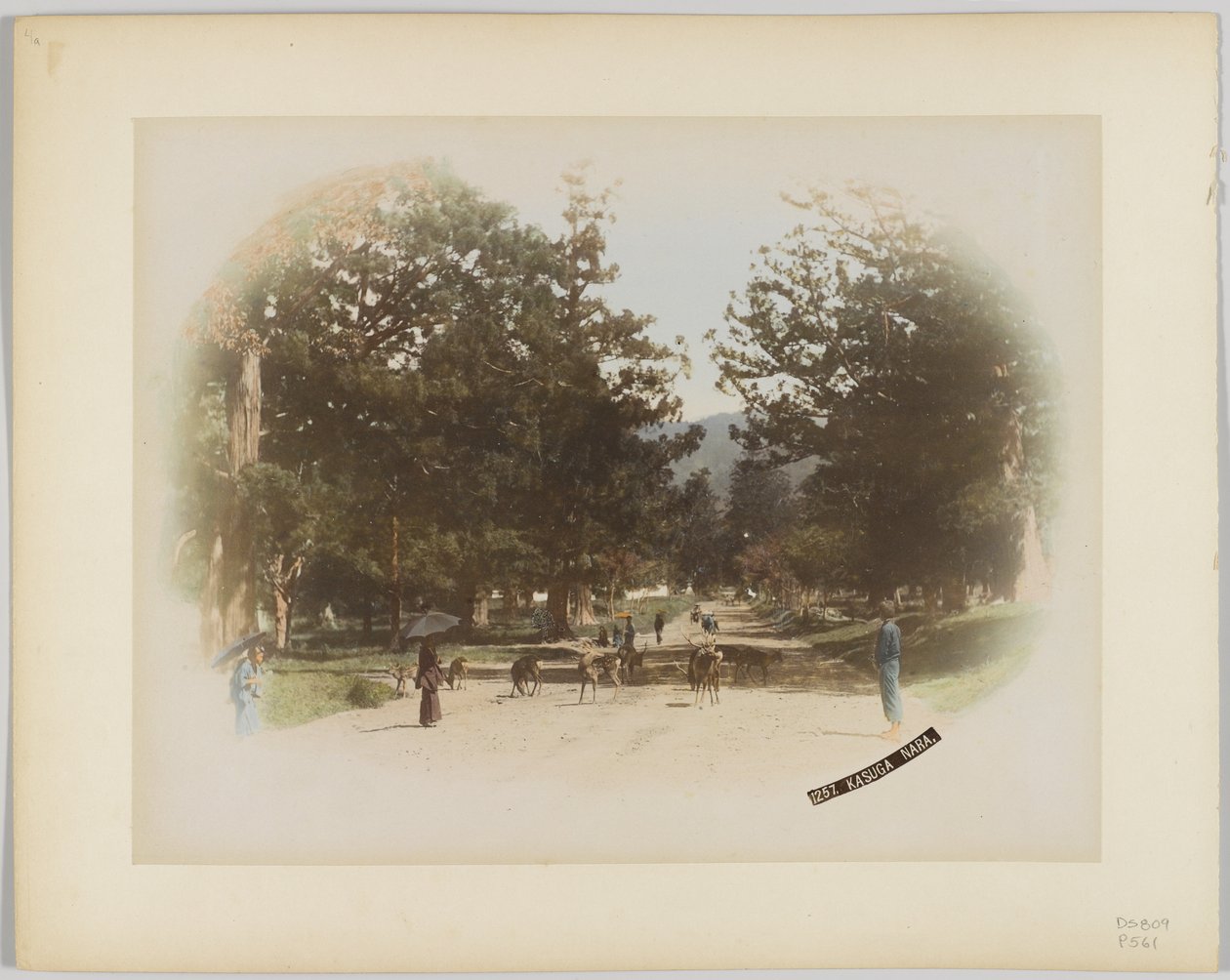 Kasuga, Nara, Japonya (el boyaması s/b fotoğraf) by Japanese Photographer