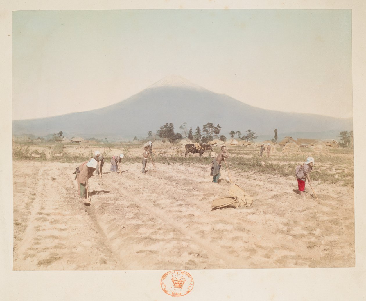 Fuji Dağı ve tarım arazileri, Japonya