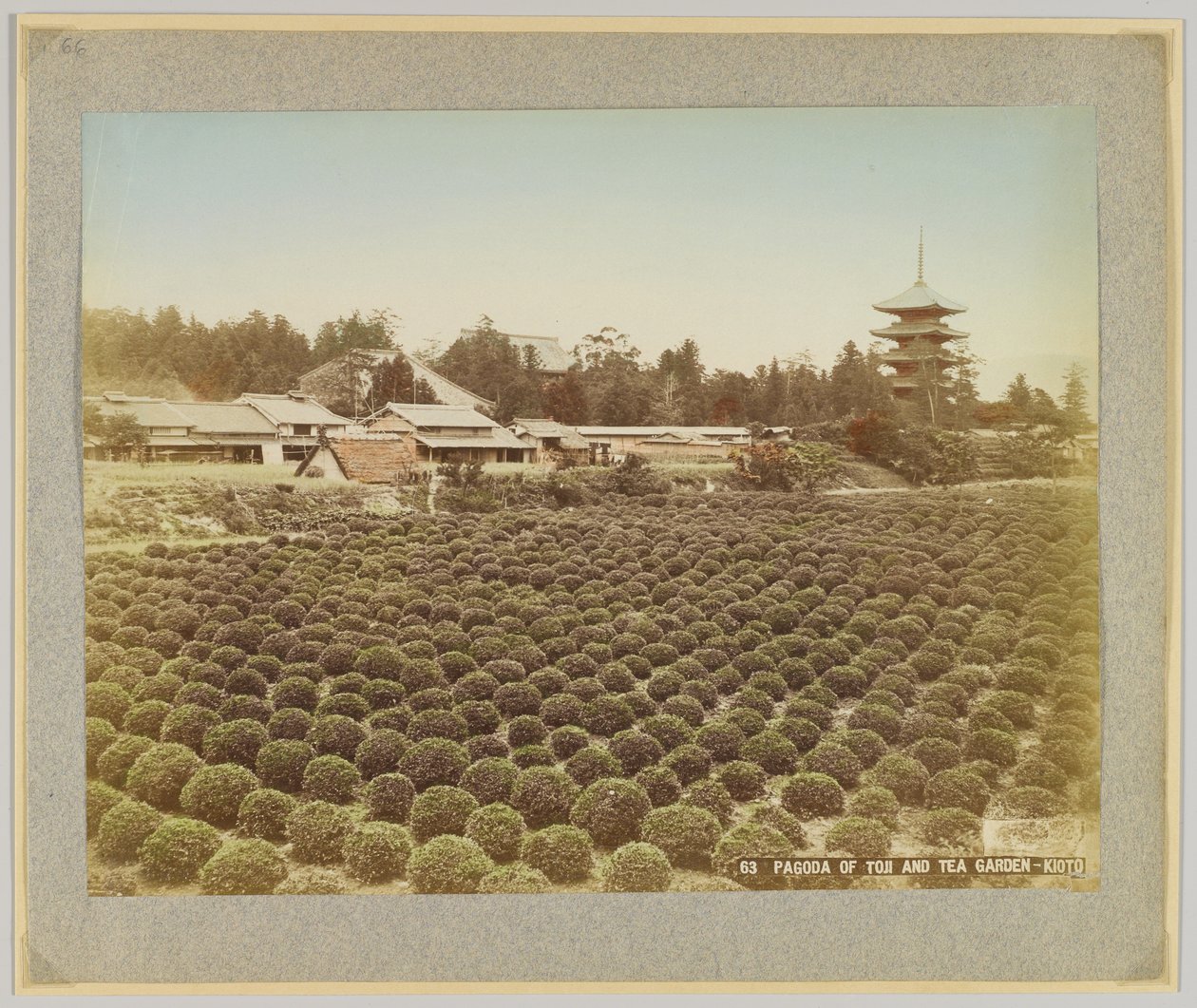 Toji Pagodası ve Çay Bahçesi, Kyoto, Japonya (el boyaması s/b fotoğraf) by Japanese Photographer