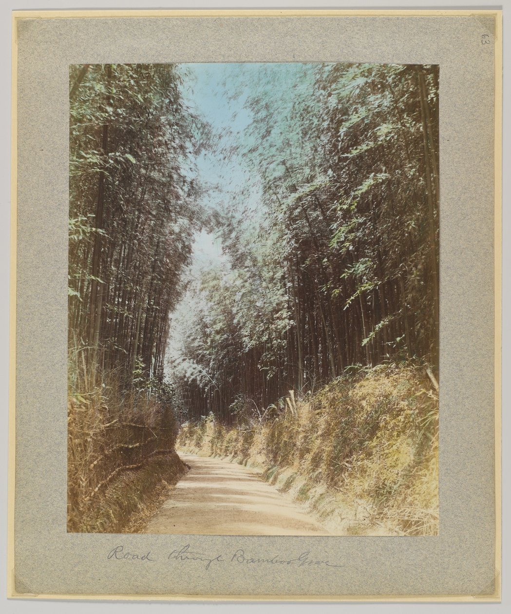 Bambu korusunun içinden geçen yol, Japonya (el boyaması s/b fotoğraf) by Japanese Photographer