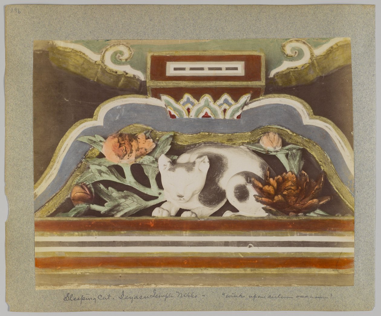 Uyuyan kedi, Tōshō-gū, Nikko, Japonya