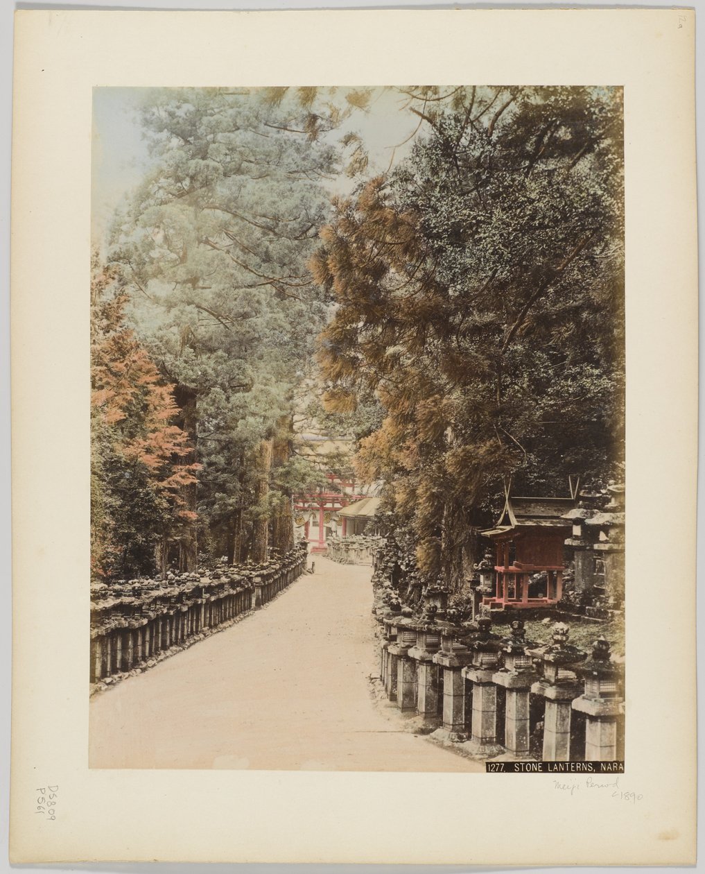 Stone Lanterns, Nara, Japonya, 1890 dolayları (el boyaması s/b fotoğraf) by Japanese Photographer